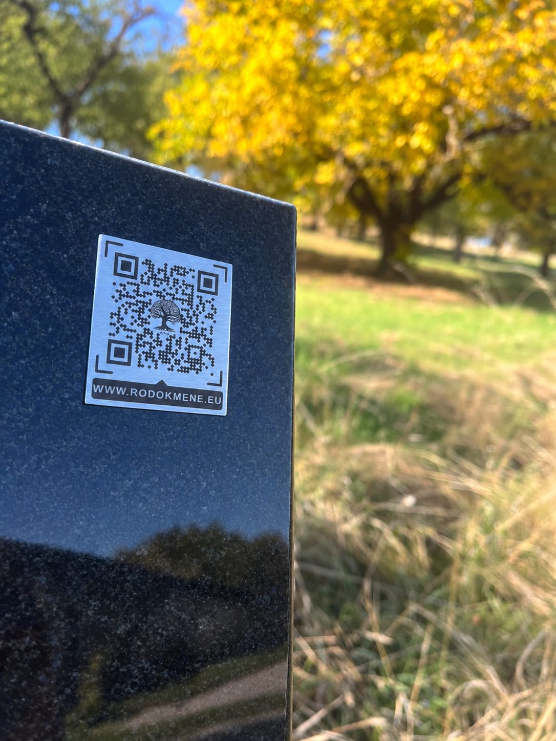 obrázok qr kódu na náhrobný kameň s logom keltského stromu života v strede a stránkou www.rodokmene.eu na spodku